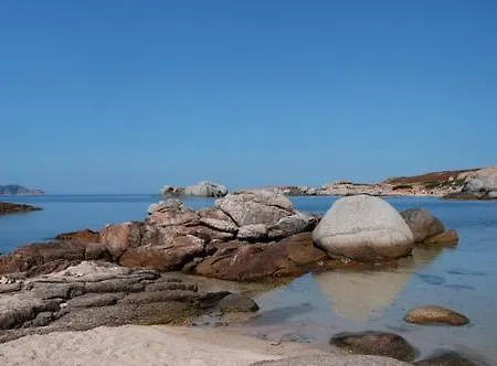 Lejlighed Le San Petrone-tour En Pierre En Centre Corse Entre Et Montagne Moltifao