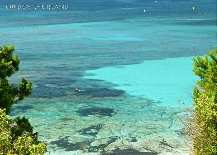 Le San Petrone-tour En Pierre En Centre Corse Entre Et Montagne Appartement Moltifao